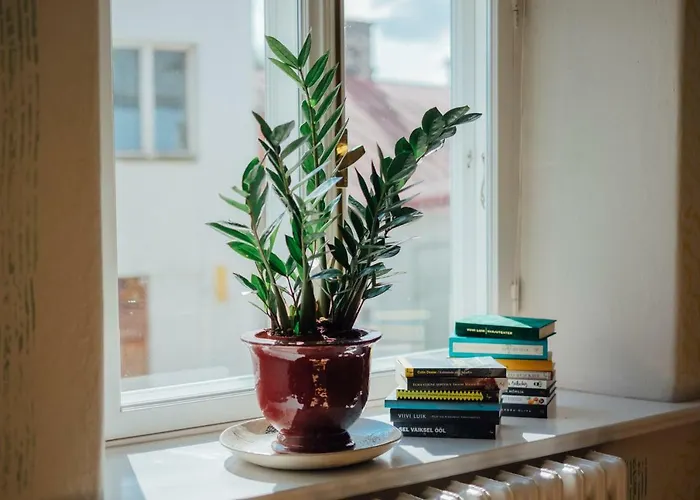 Epp Maria Galerii Haapsalu